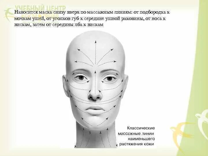 Лица линиями как называется. Массажные линии лица схема. линии лангера на лице схема. массажные линии лангера на лице. схема нанесения крема на лицо.