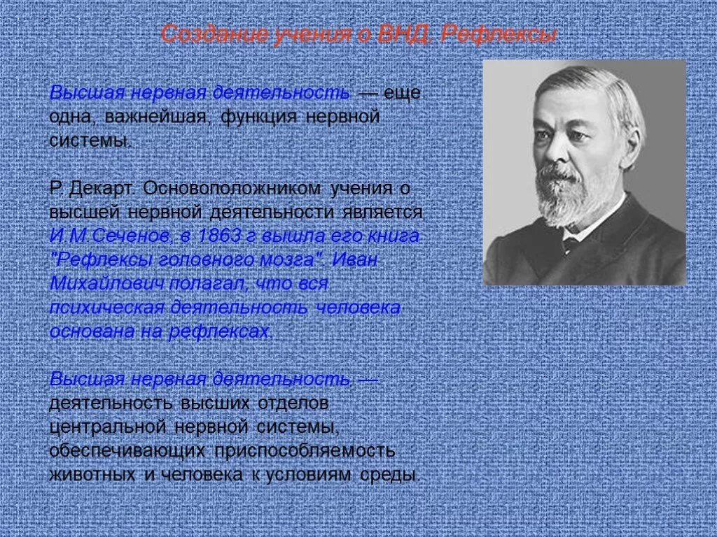 Термин высшая нервная деятельность предложил. Учение Сеченова и Павлова о высшей нервной деятельности. Учения и.м.Сеченова, и.о.Павлова о ВНД. Основоположник учения о ВНД. Сеченов Павлов основоположники учения о высшей нервной деятельности.