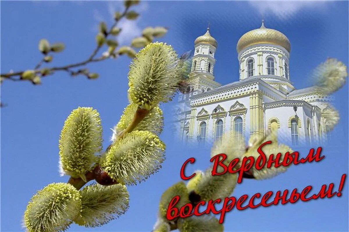 С Вербным воскресеньем. С праздником Вербное воскресенье. С Вербным воскресеньем открытки. С Вербным воскресеньем открытки с поздравлением. Вербная неделя в 2024 году у православных