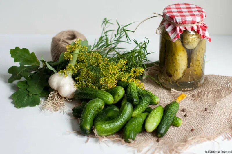 кабачки в пакете малосольные с чесноком. малосольные огурчики малосольные с укропом. огурцы маринованные с зеленью. огурчики в банке. огурцы (консервированные в бочках 180 кг) индия.