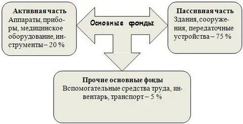 Основные фонды медицинской организации