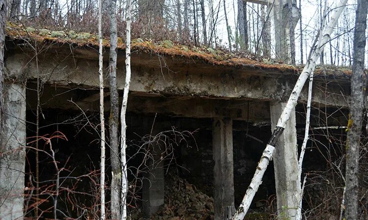 Умальта поселок хабаровского. Поселок Умальта Хабаровского края. Умальта поселок Хабаровского края Верхнебуреинский район. Заброшенные поселения Хабаровский край. Умальтинский рудник,.