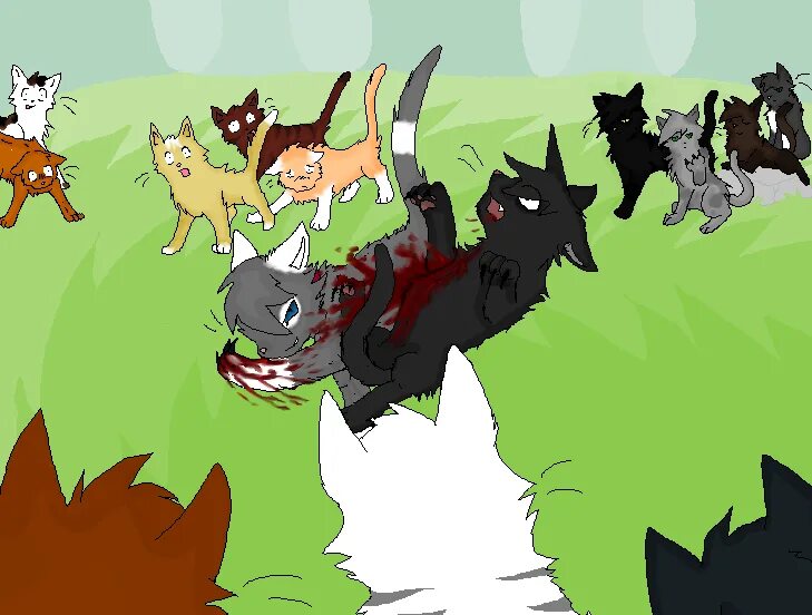 Warrior Cats OCS. Warrior Cats Fawn OCS. Кошки на войне. Cat Warriors Base. Warrior cats игры