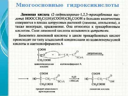 Лимонная кислота биологическая роль