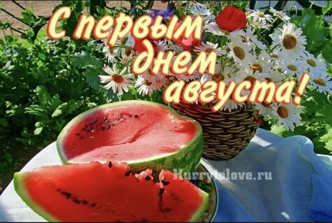 Здравствуй август картинки с надписями доброе утро