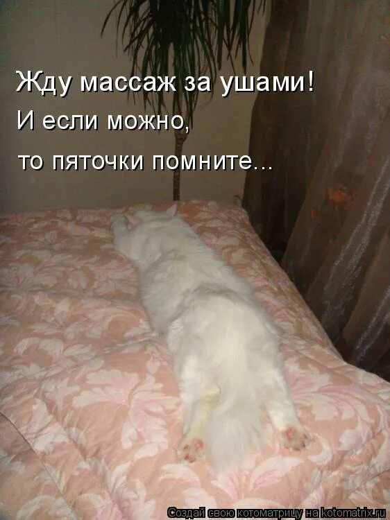 песня мой повелитель моя колыбель твоя обитель. винтаж и елена корикова плохая девочка. песня мой повелитель моя колыбель твоя обитель. винтаж неистовый зверь. песня мой повелитель моя колыбель твоя обитель.