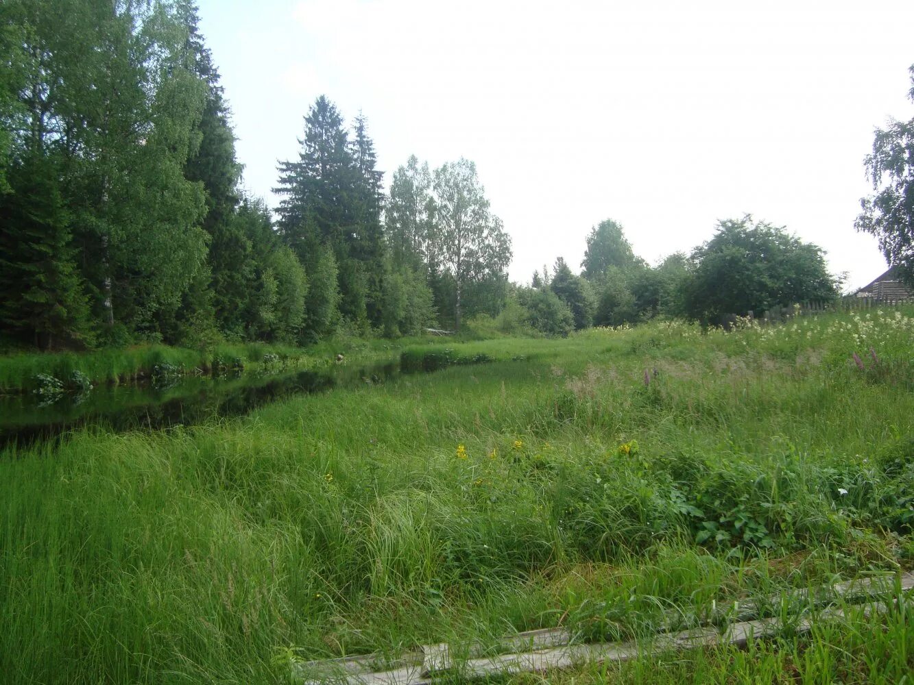 Деревня анциферово новгородской области. Станция анциферово. Анциферово (село, новгородская область). Анциферово (село, новгородская область). Поселок анциферово хвойнинский район.
