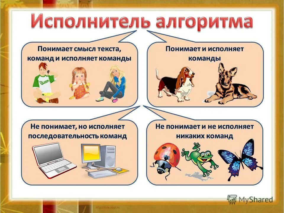 Человек исполнитель алгоритма. Человек исполнитель алгоритма