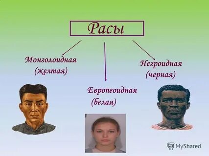 К детям рас относятся