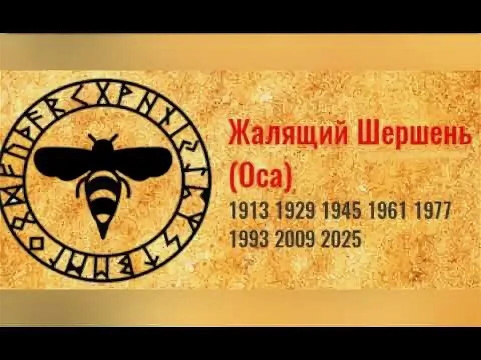 Календарь тотемных животных по годам 2024 год по тотемному календарю