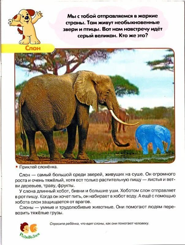 Слон рассказ окружающий мир. Рассказ о животных жарких стран. Обитатели жарких стран для детей. Интересные факты о животных жарких стран. Интересное о животных жарких районов.