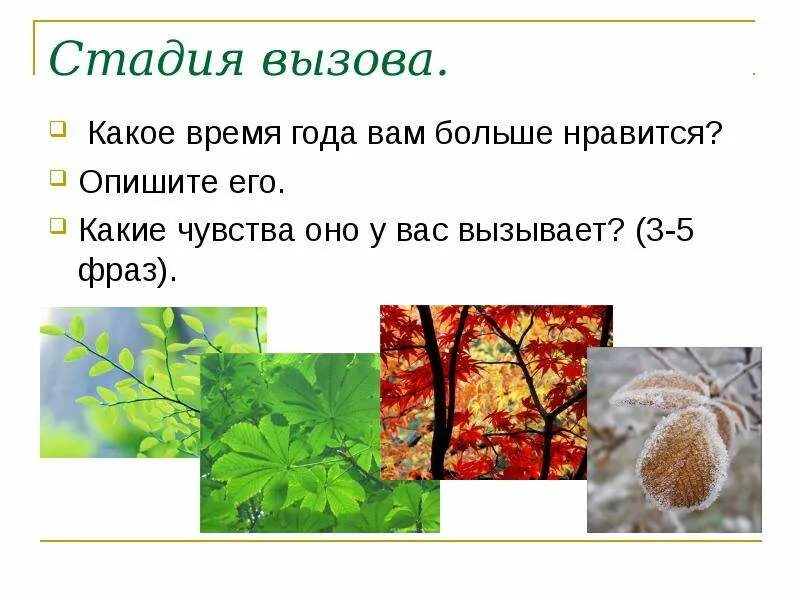 Идея стихотворения листья тютчев 6 класс. Ф.и.тютчева &quot;листья&quot;. настроение стихотворения листья. анализ листья. чувства в стихотворении листья.
