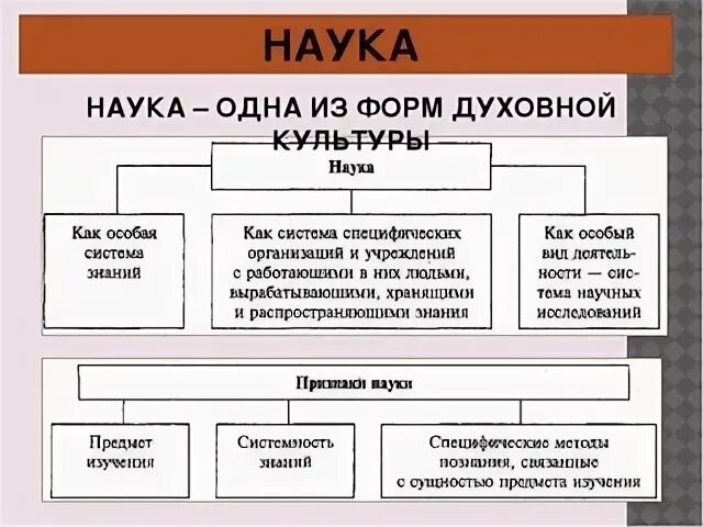 Область науки и культуры