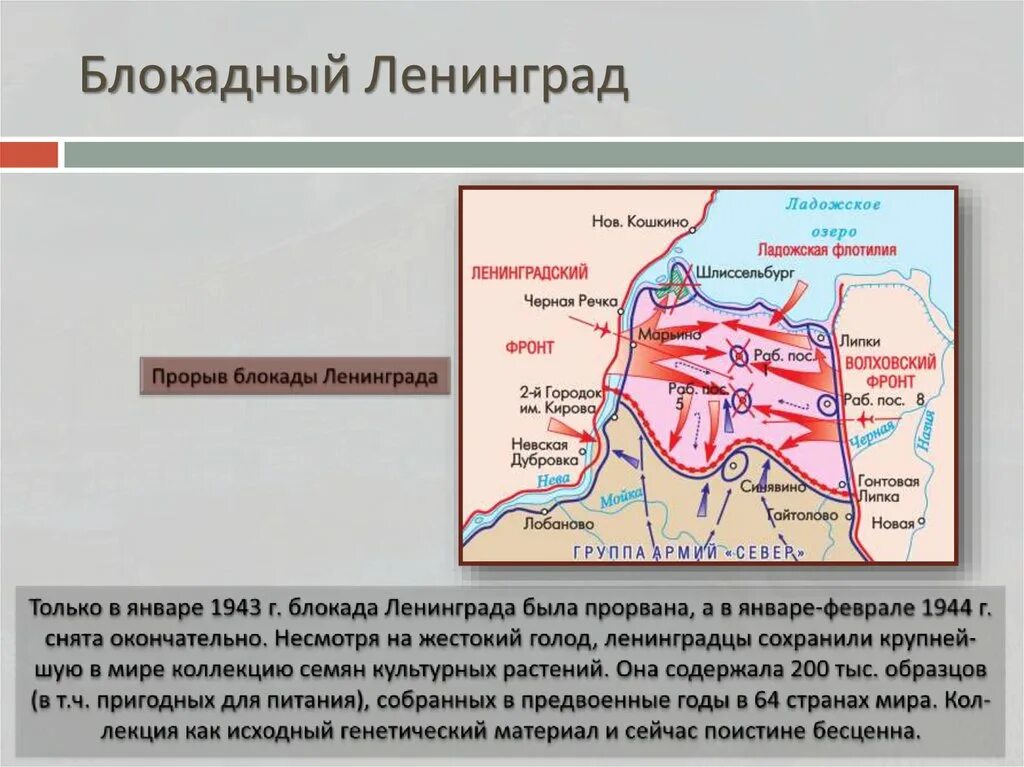 Блокада Ленинграда окружение Ленинграда. Блокада Ленинграда карта. Оборона Ленинграда 1942. Картрта блокады Ленинграда. Блокада ленинграда кодовое название операции