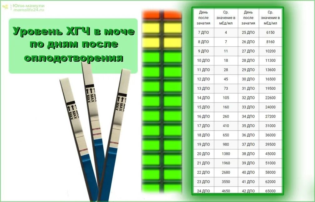 Уровень ХГЧ по тест полоскам. Тест на ХГЧ В моче. Тестовые полоски и уровень ХГЧ. 10 ДПО ХГЧ В моче. Количество проводимых тестов