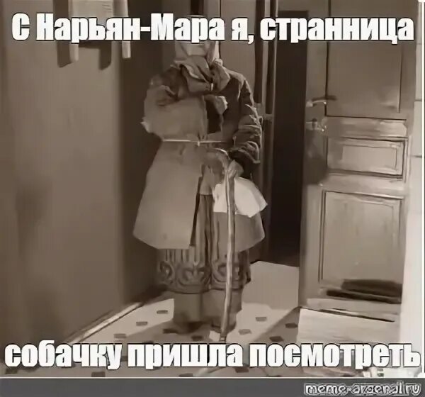 Собачку говорящую пришла. Странница я пришла на собачку.