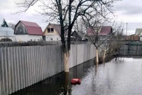 Пик паводка в брянске 2024 когда ожидать