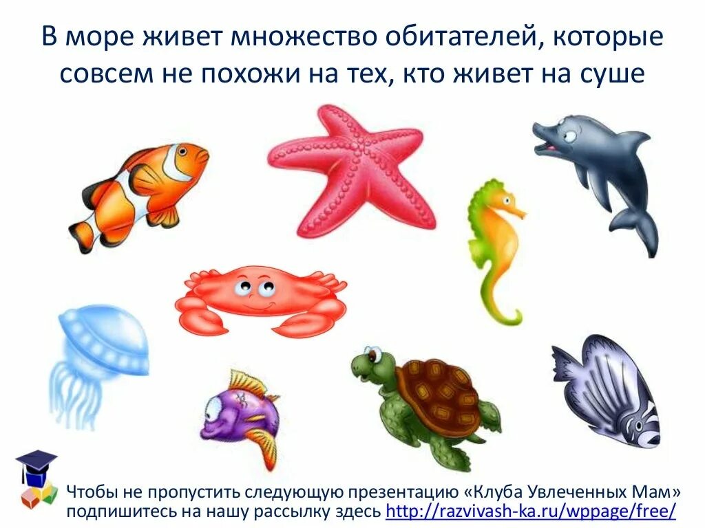 водоросли и животные. обитатели пруда. болото дно. кто живет в воде картинки. кто жили живет в воде.