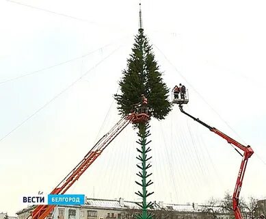 Открытие елки в белгороде 2023