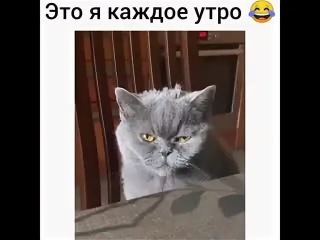 Я не каждый я 1