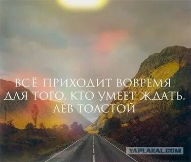 Приходи и все увидишь сам