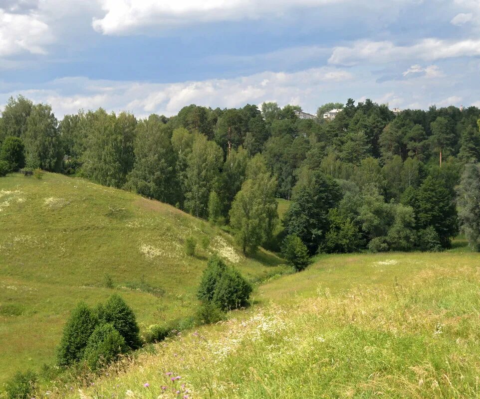 Овраги касимова. Сиверский овраг касимов. Тутаев - овраги. Овраги касимова. Город касимов успенский овраг.