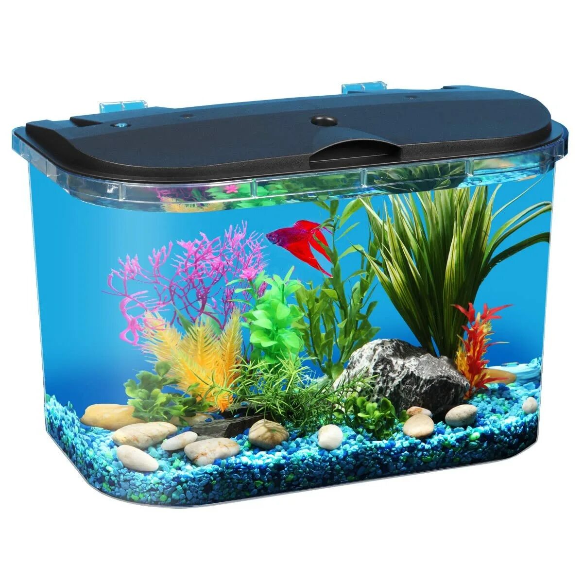 Какая вода для рыбки в аквариуме. Аквариум (fish tank) 2009. неприхотливые рыбки для аквариума 70л. aqua &quot;aquarium (cd)&quot;. аквариум fish tank.