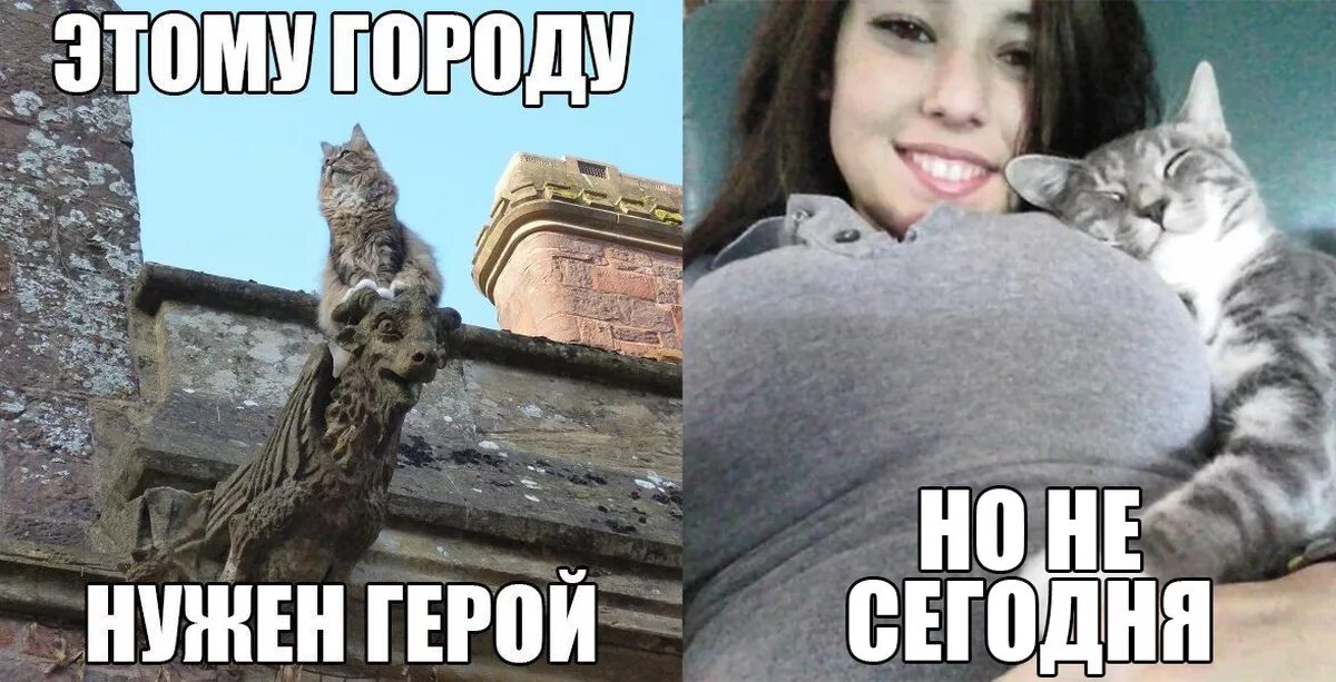 Hero meme. Этому городу нужен герой. Этому городу нужен герой Мем. Этому городу нужен новый герой Мем. Этому городу нужен новый герой кот.