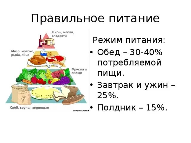 Режим питания. Распорядок правильного питания. Рацион питания завтрак обед ужин. Правильный режим питания. Режим завтрака обеда ужина