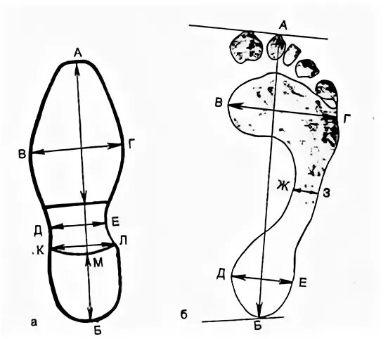 Части следа босой ноги криминалистика. Схема следа обуви криминалистика. След подошвы стопы босой ноги криминалистика. Схема следов ног криминалистика.