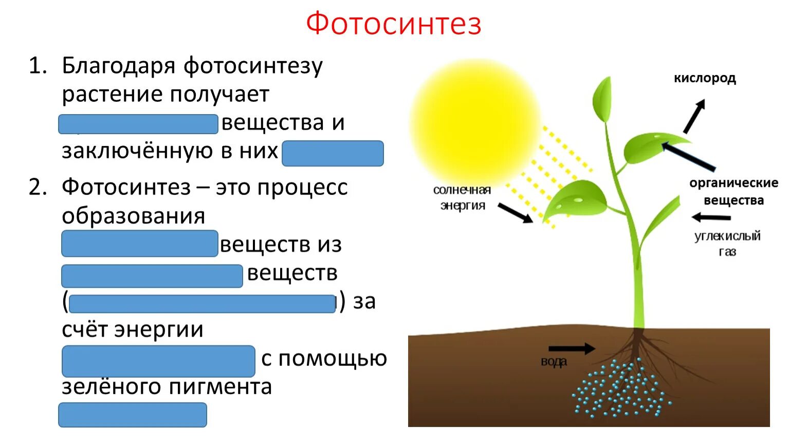 Тест по теме фотосинтез 6 класс биология. Фотосинтез класс 6 класс. Фотосинтез 5-6 класс. Фотосинтез органические вещества. Солнечная энергия фотосинтез.