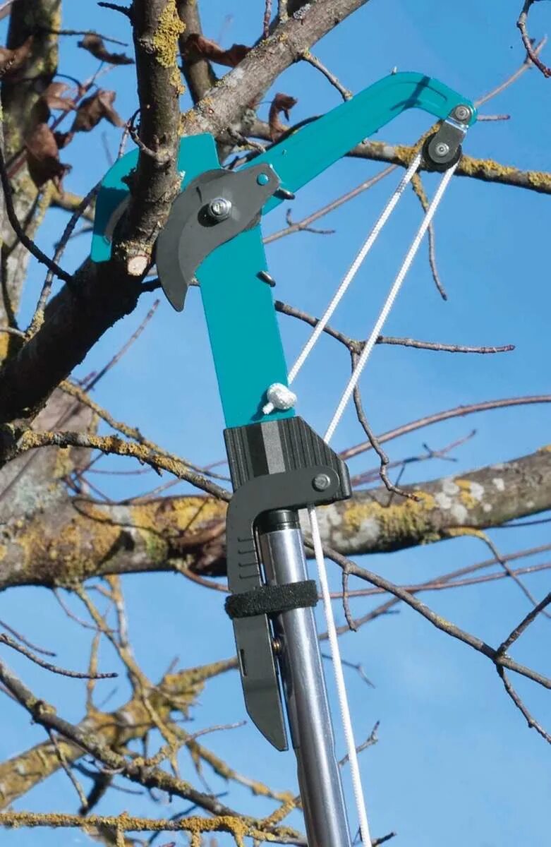 Секатор для обрезки высоких деревьев аккумуляторный. Сучкорез gardena combisystem s. веткорез штанговый. секатор на палке для высоких деревьев. веткорез садовый.