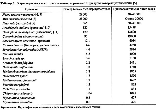 Таблица генов человека. Размеры геномов разных организмов. Количество генов у разных организмов.