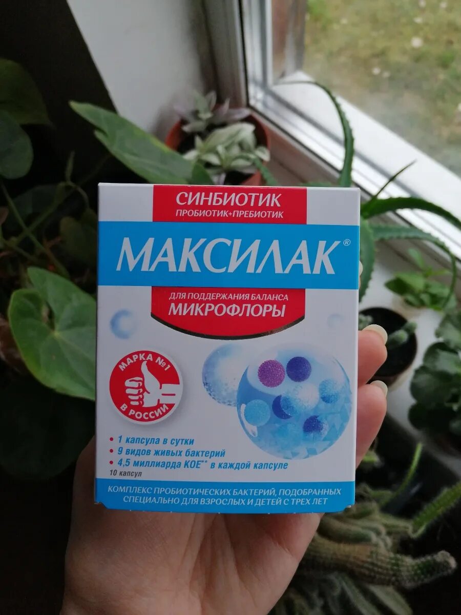 Пребиотики Максилак. Максилак синбиотик капсулы. Пробиотики Максилак. Бактерии для кишечника Максилак.