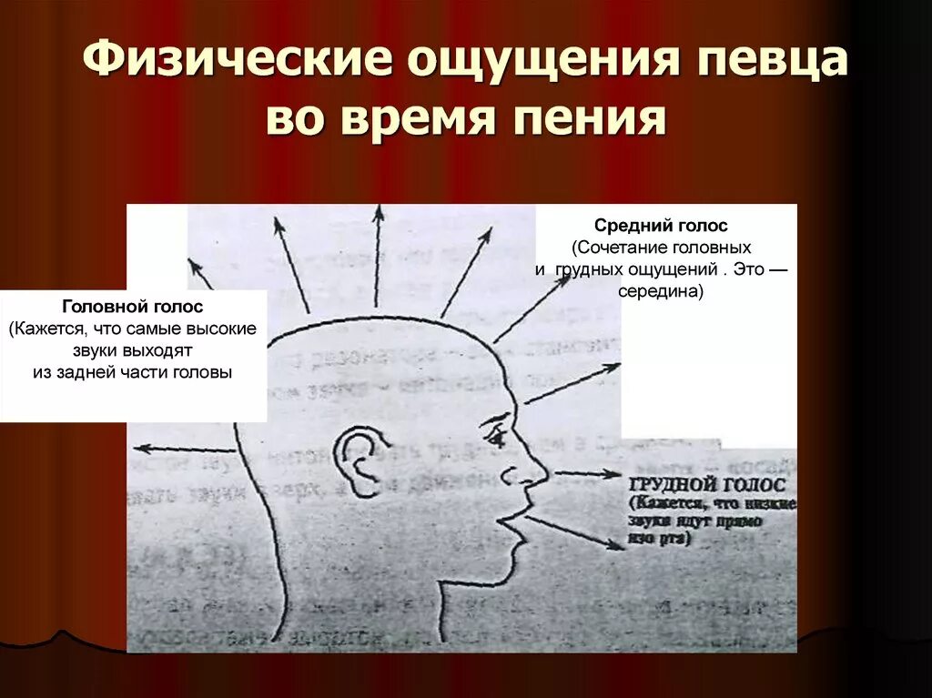 Физические ощущения это. Чувства и физические ощущения. Ощущения при пении. Головные резонаторы. Головной и грудной резонаторы.