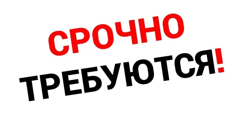 Требуется сотрудник. Работа чита. Поликлиника 5 чита. Дмрсу чита. Ищу работу в чите.