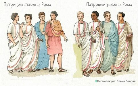В риме патрициями называли