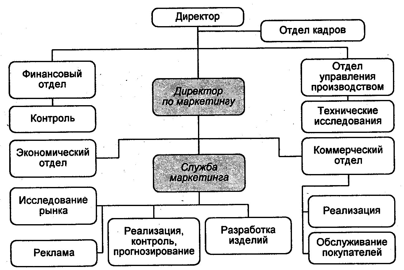 Коммерческий директор и финансовый директор. Структура коммерческой организации схема. Коммерческий директор организационная структура. Структура коммерческих служб схема. Организационная структура коммерческого отдела.