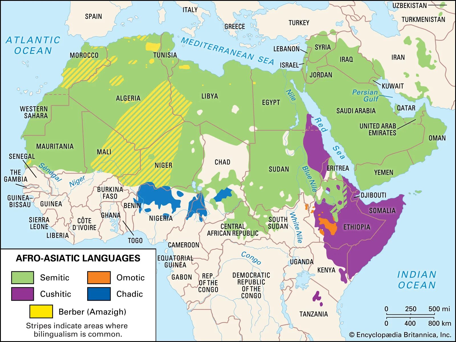 Афразийская языковая семья карта. Семитские языки карта. Арабский язык карта распространения. Карта распространения семитских языков.