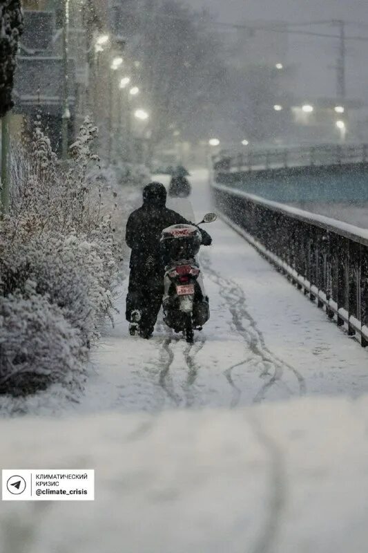 Снегопад 6 января. Когда был снег в токио в последний раз. "снег в токио" (1974),. В японии выпал снег 2022. Снегопад 6 января.