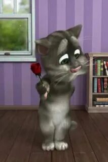Включи кот том и его