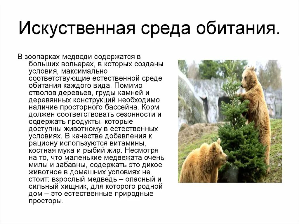 Среда обитания. Естественная среда обитания. Естественная и искусственная среда обитания. Среда обитания бурого медведя.