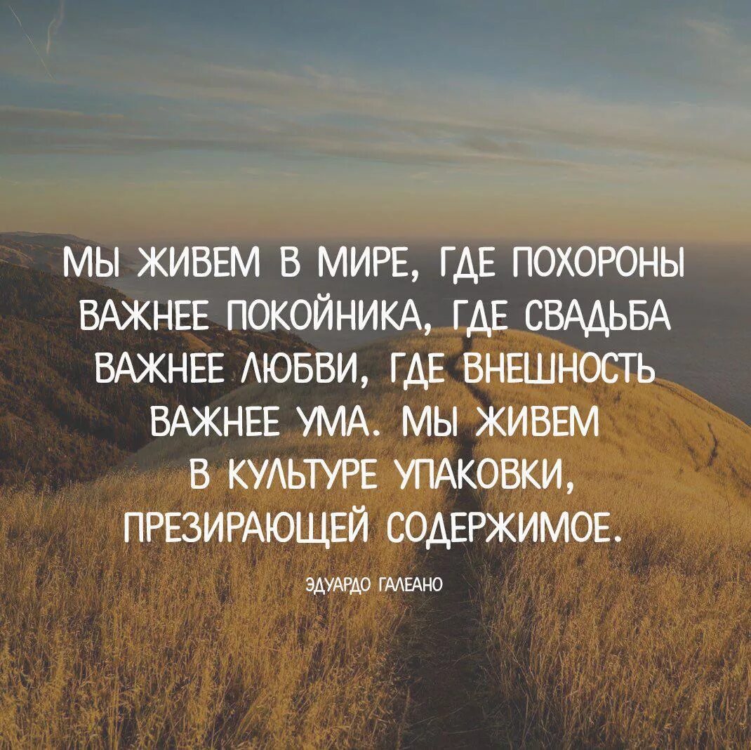 Высказывания про мир. Цитаты про мир. Миру мир цитаты. Фразы про мир. Перестаньте презирать меня