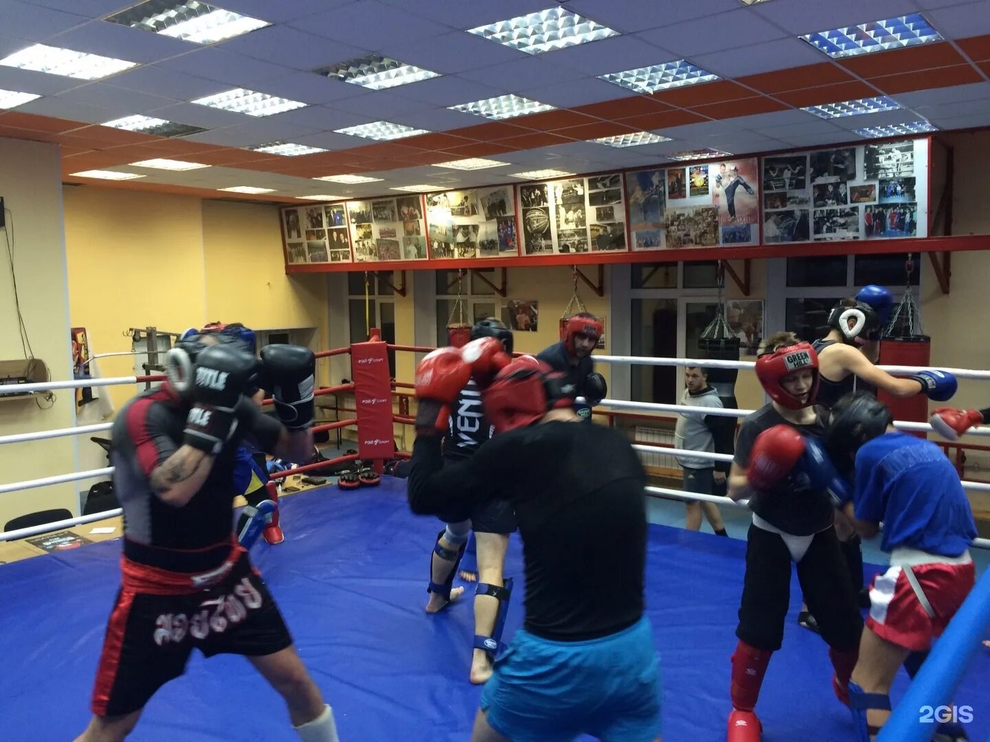 Айсберг мма белгород. Центр единоборств белгород. Спарта клуб единоборств. Секции боевых искусств в белгороде. Смешанные единоборства в белгороде.