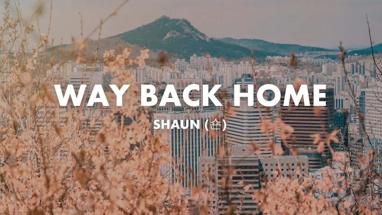 Way way песня английская. Shaun way back Home. Way back Home Shaun текст. Way back Home Shaun спотифай. Эра way back Home.