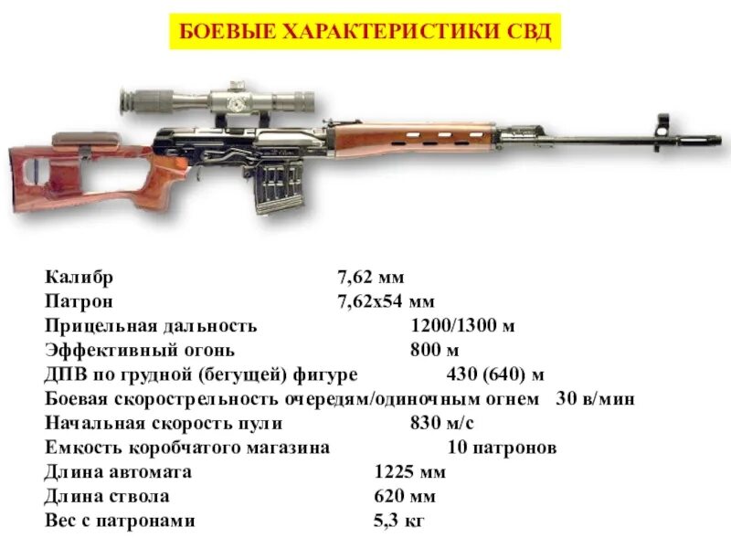 Снайперская винтовка драгунова характеристики