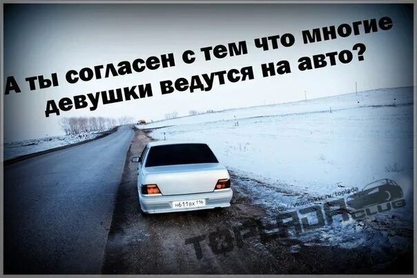 Спроси у статус автомобиля. Девушки ведутся на машины. Статусы про машину. Девушки ведутся на Тачки. Авто на которое ведутся девушки.