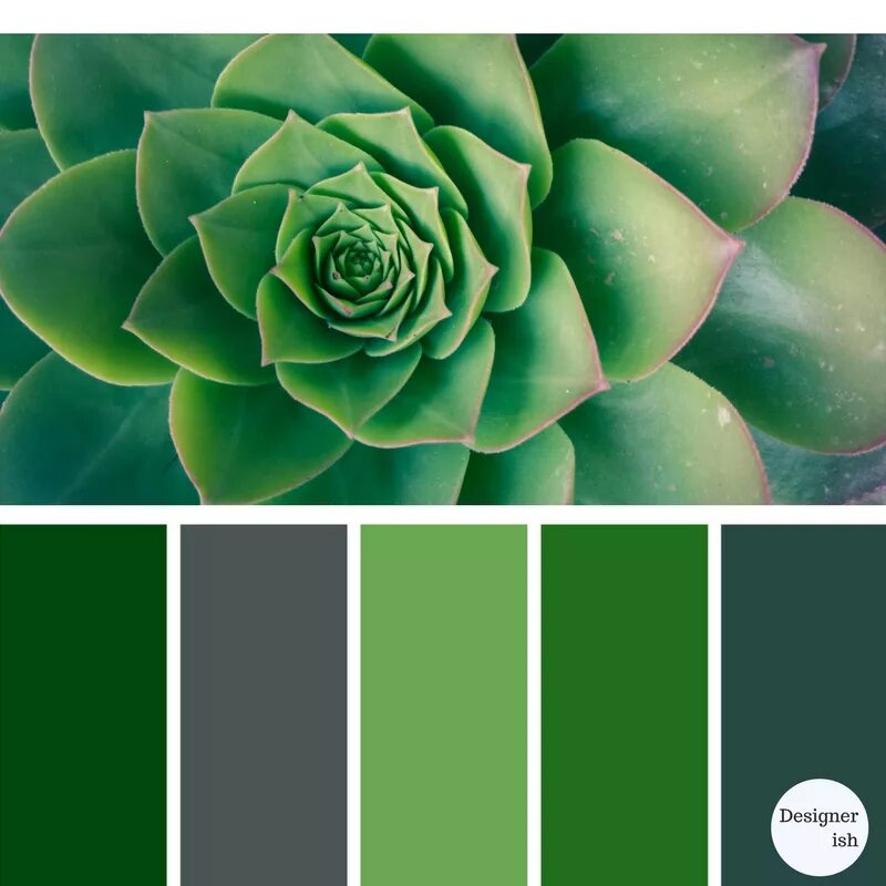 Травяной зеленый цвет пантон. Цветовая гамма зеленого цвета. Палитра зеленых оттенков. Цветовые сочетания с зеленым.