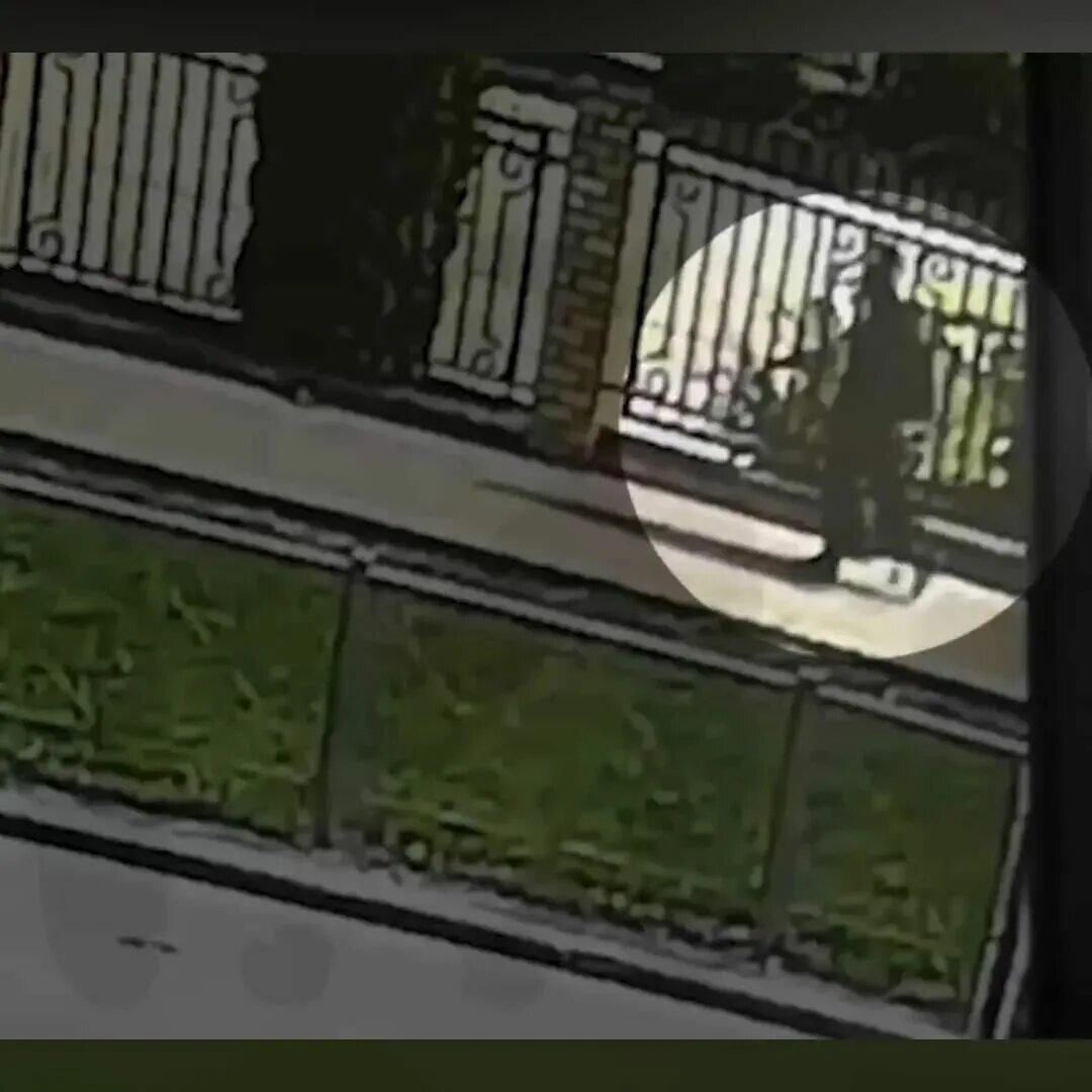 террористы в школе 2024