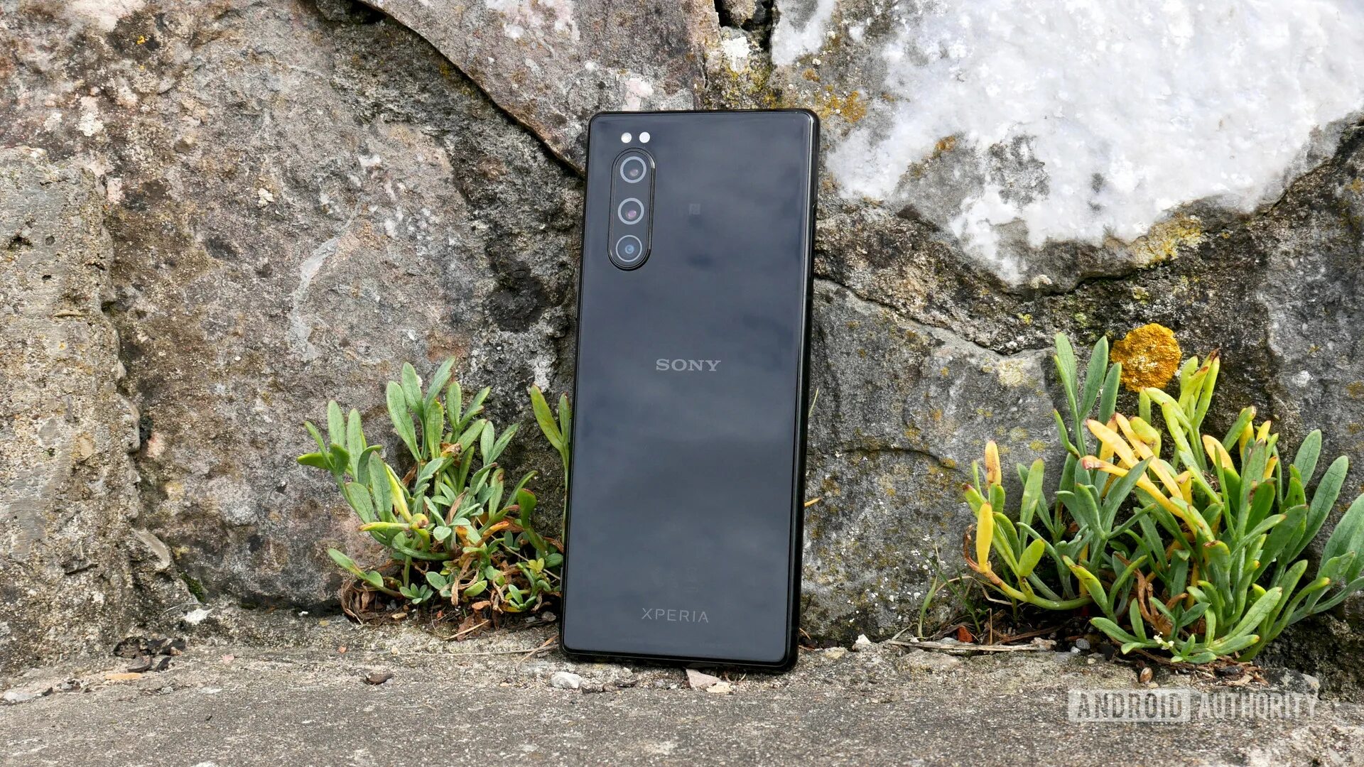 Xperia mark 3. Смартфон Sony Xperia 5 III. Sony 2019. Xperia смартфон Sony 2019 год. Sony Xperia Mark 3 характеристека.